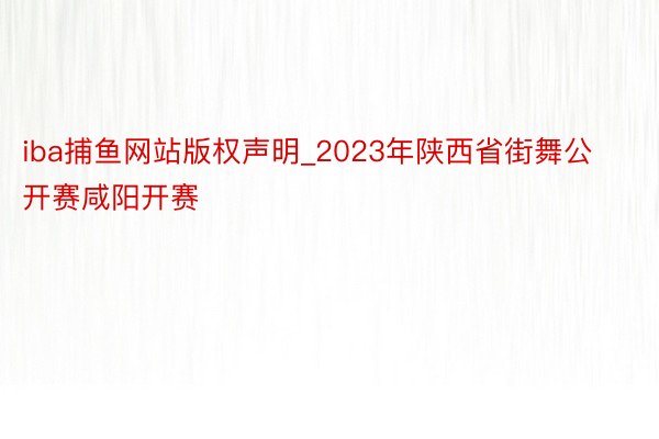 iba捕鱼网站版权声明_2023年陕西省街舞公开赛咸阳开赛